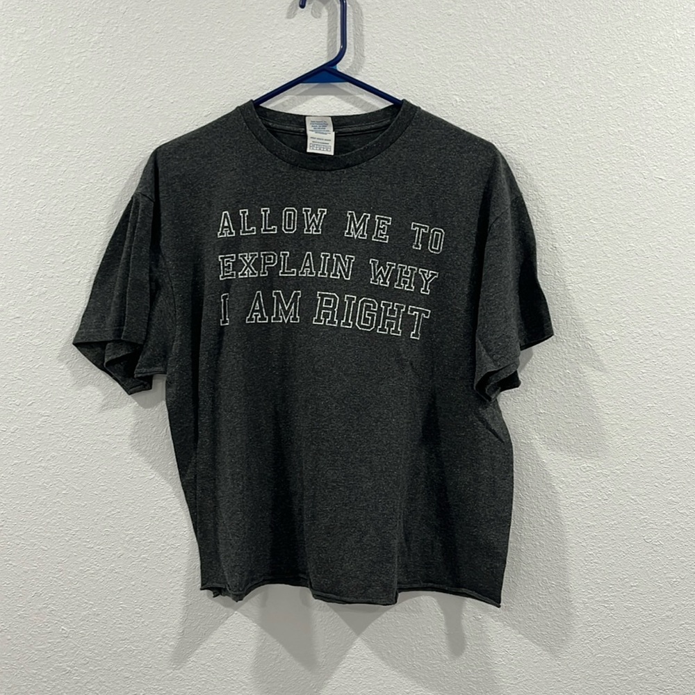 EUC L Allow me to explain why I am right gray oversized crop top raw edge